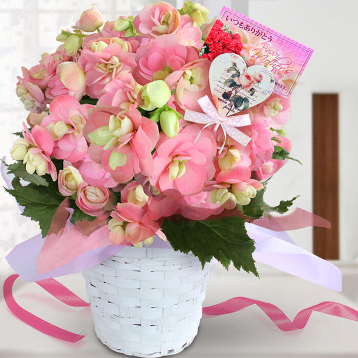 変わり咲き　クリスティーン 珍しさ蕾の中に蕾ができる珍しさ！花は硬めでお届け 4,990円（税込）