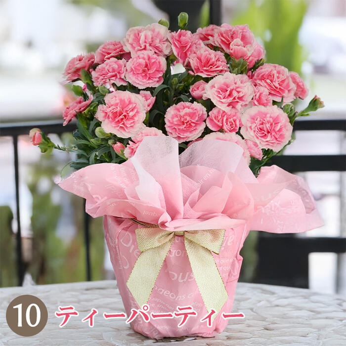 ティーパーティー