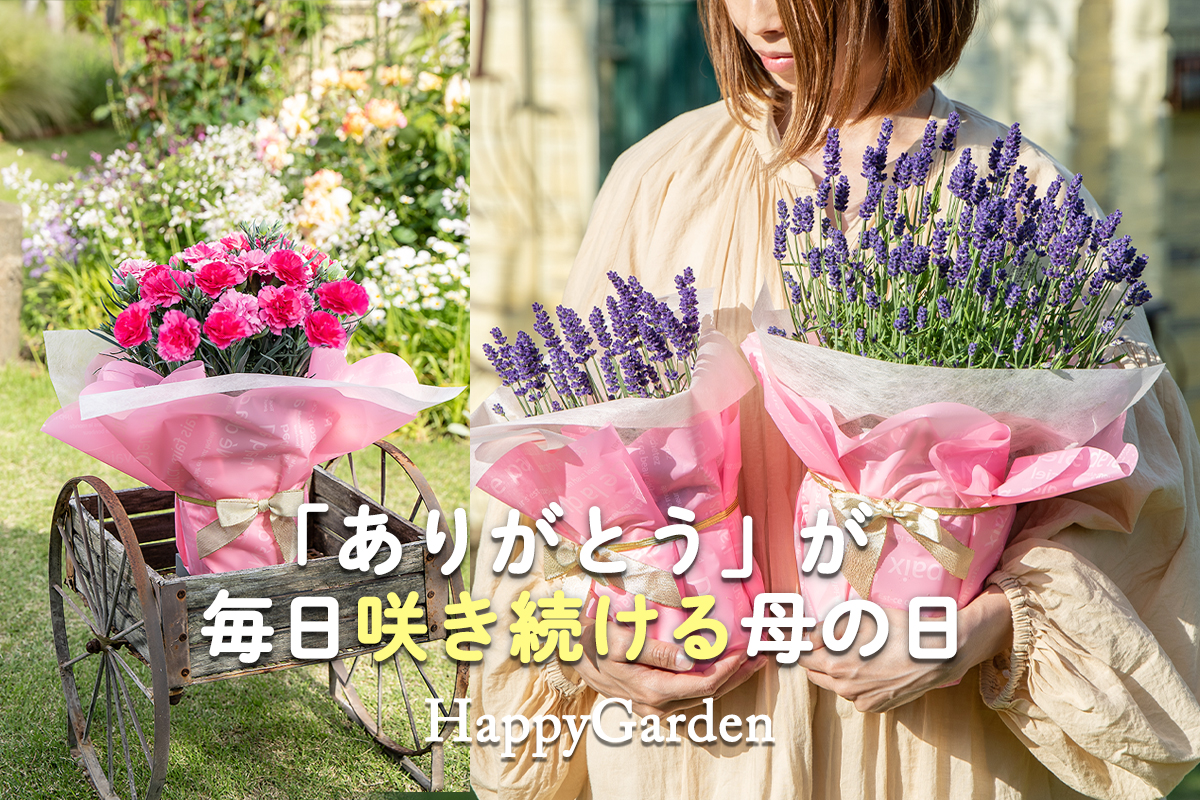 ハッピーガーデン 鉢花ギフト