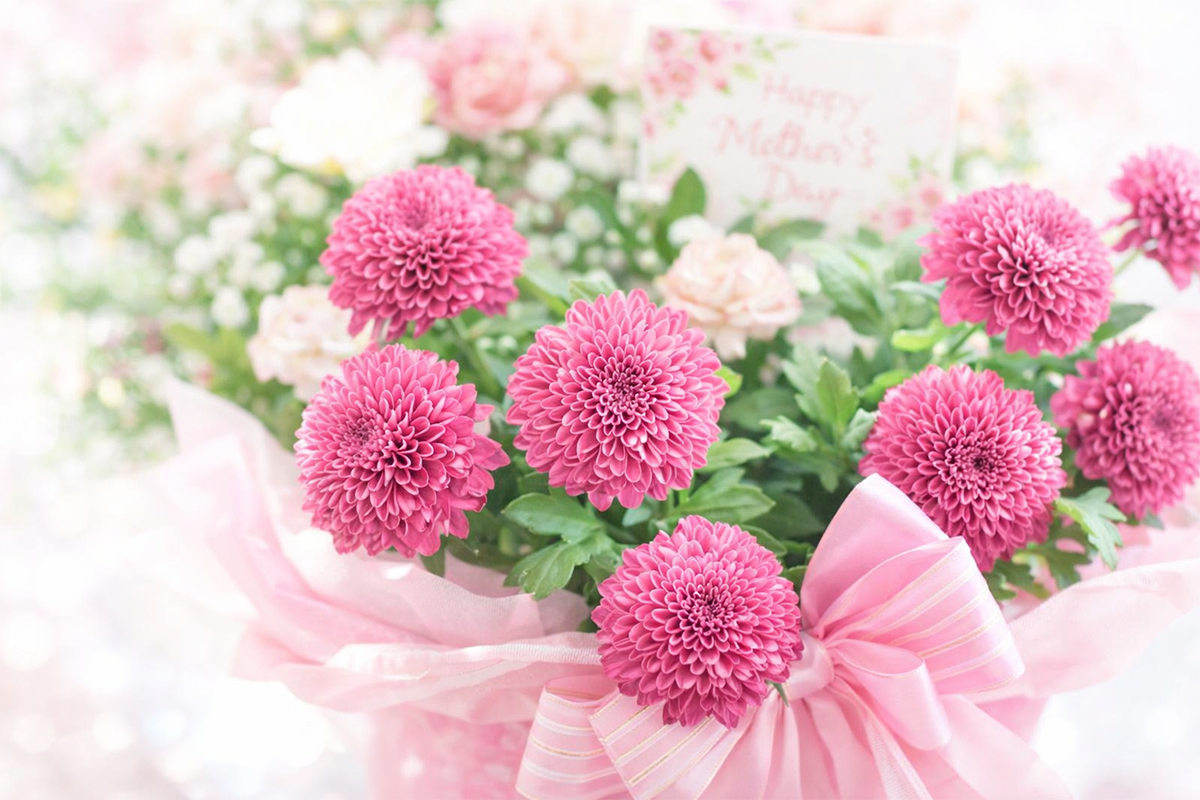 【母の日ギフト】マム