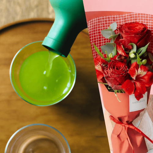 【母の日限定】お茶5種詰め合わせと花のセットギフト annon × AND PLANTS（アンドプランツ）